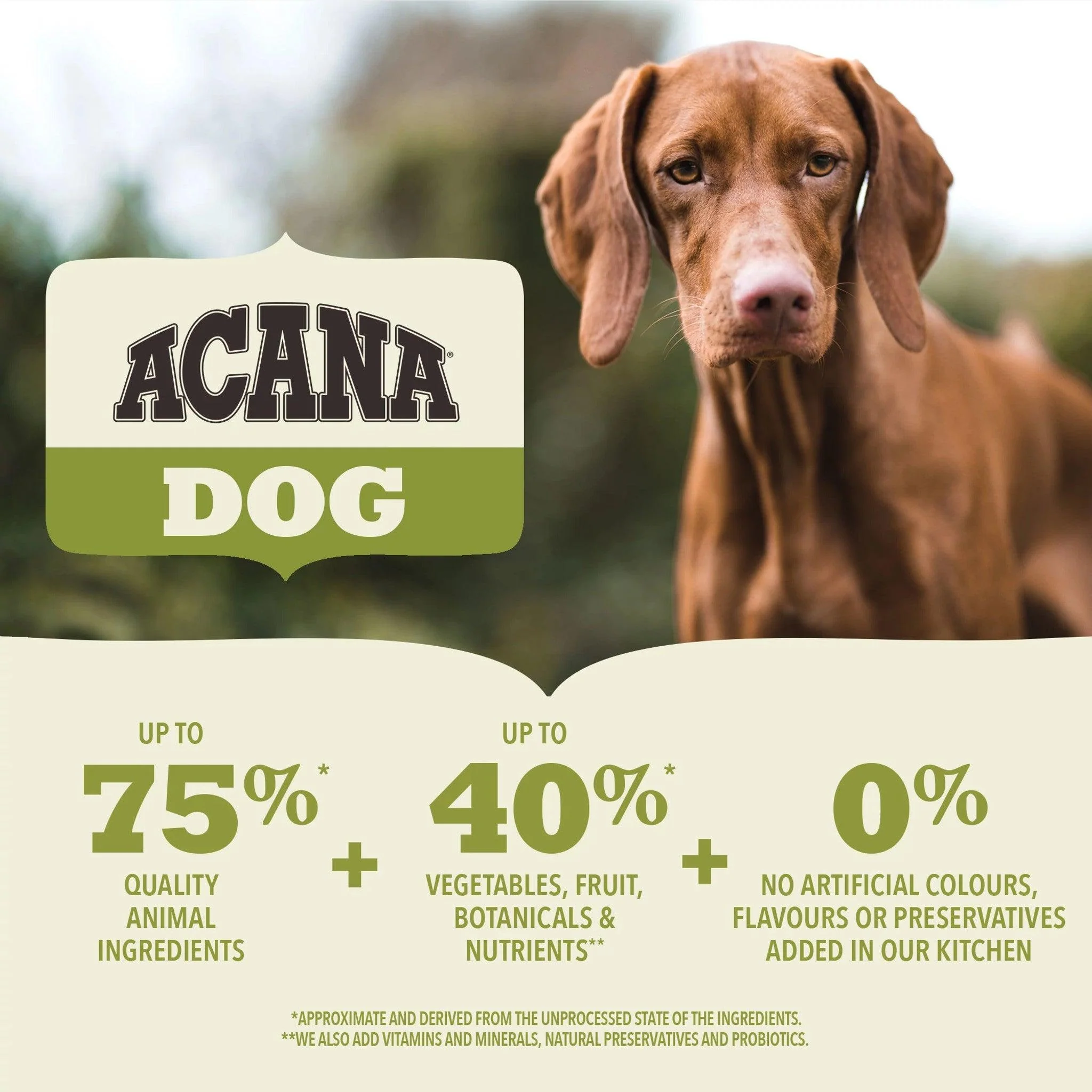 Acana Adult Large Breed Dry Dog Food - Image 3