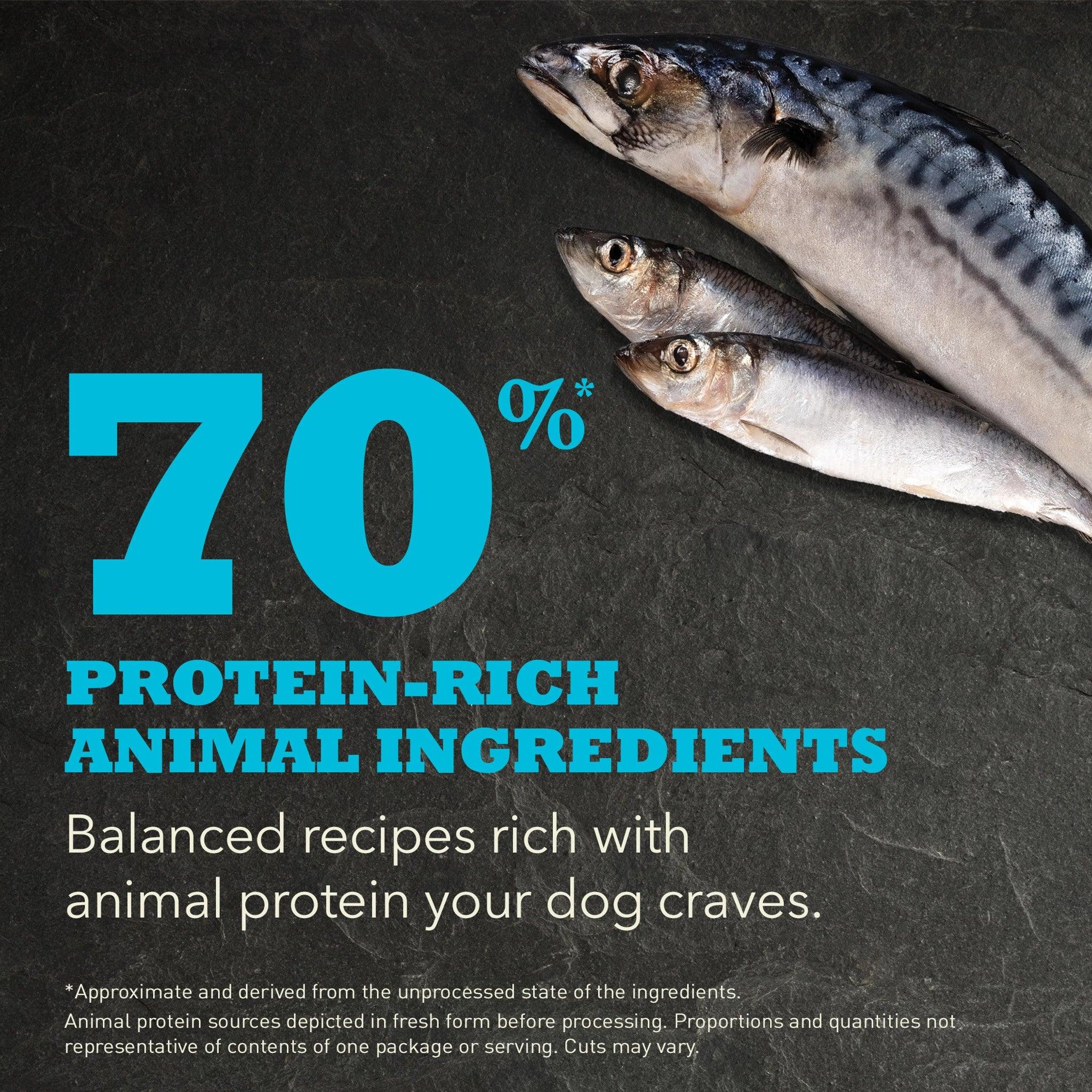 Acana Highest Protein Pacifica Dry Dog Food Recipe - Image 5