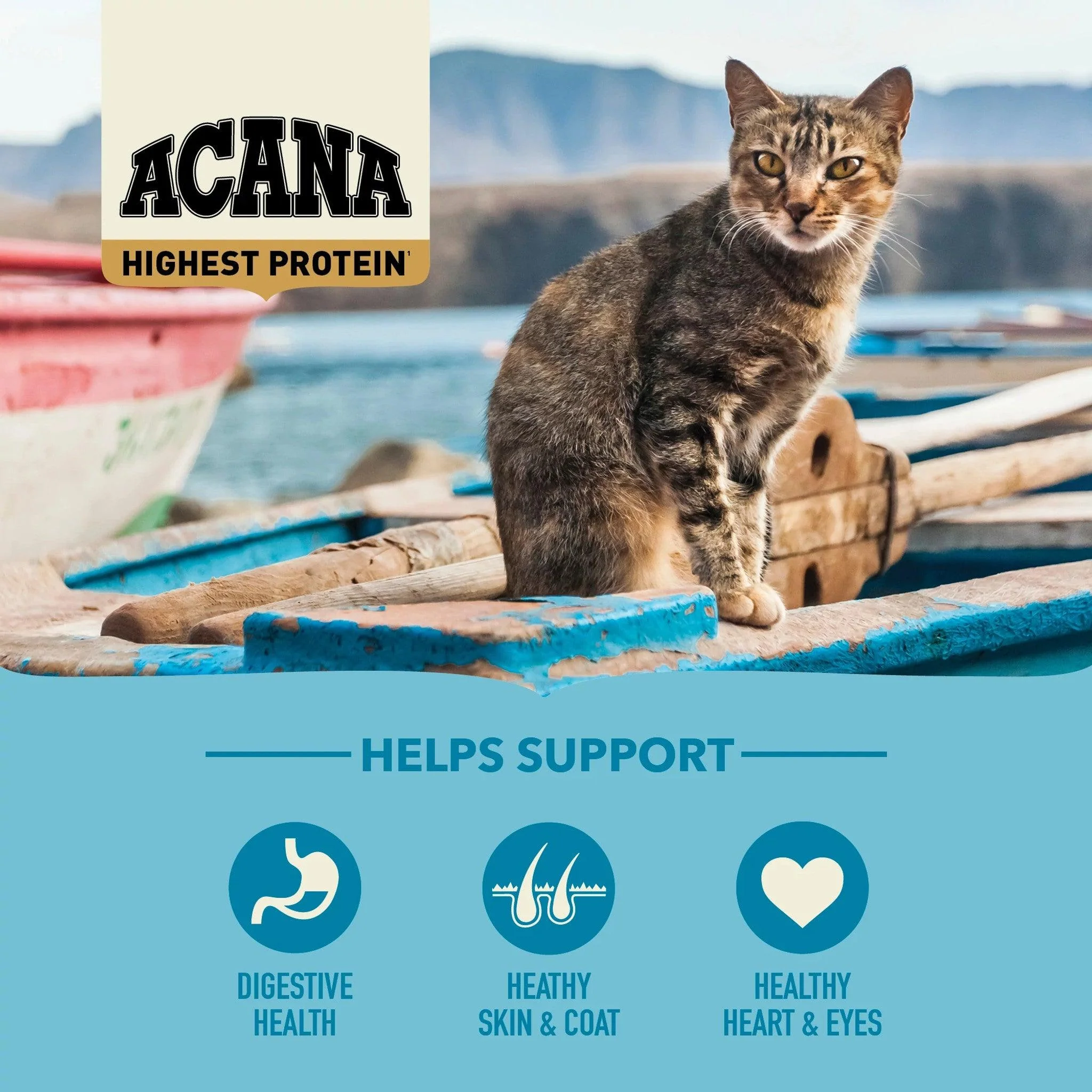 Acana Highest Protein Super Premium Cat Food Pacifica Recipe - Image 3