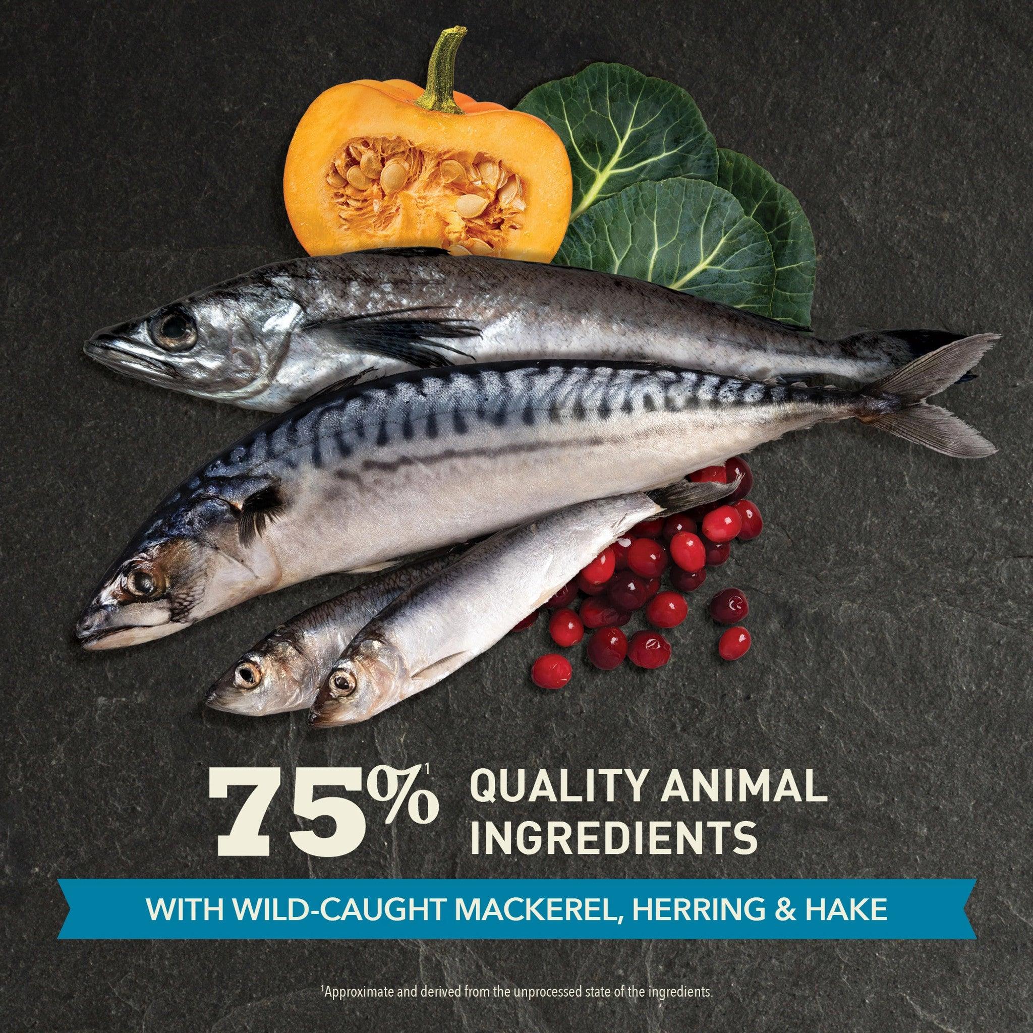 Acana Highest Protein Super Premium Cat Food Pacifica Recipe - Image 4