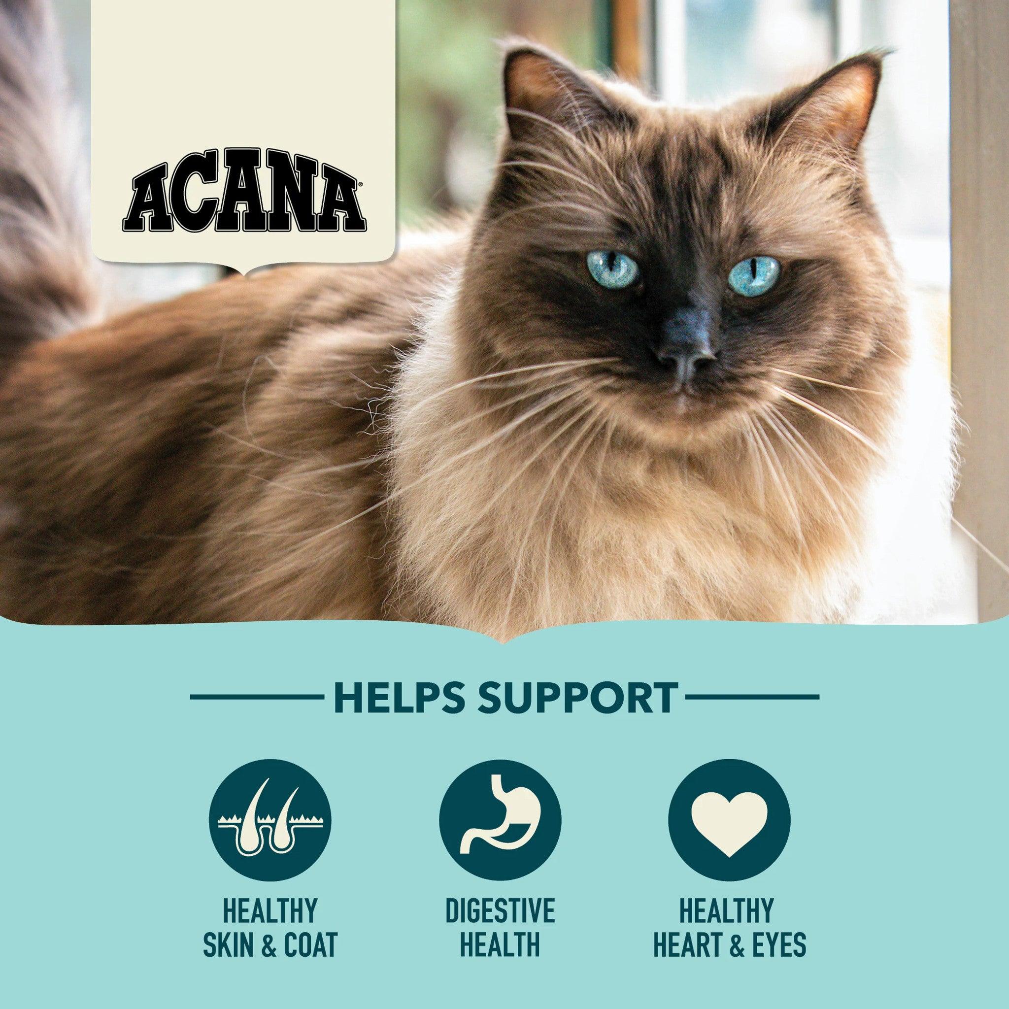 Acana Premium Cat Food Bountiful Catch Recipe - Image 3