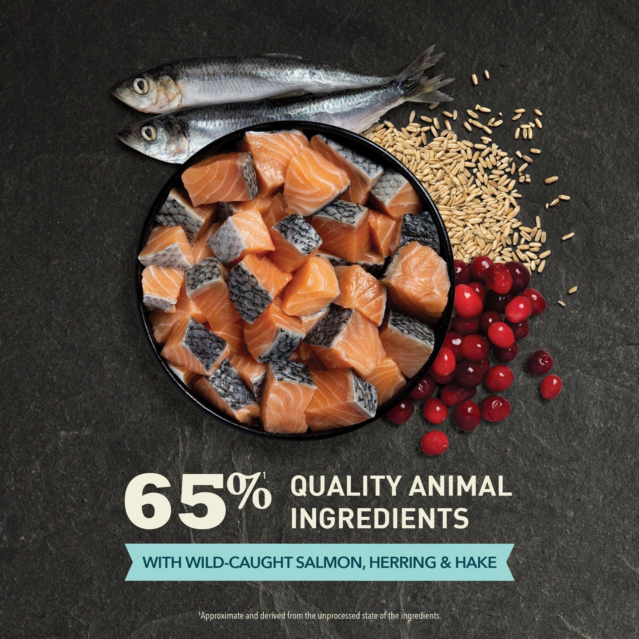 Acana Premium Cat Food Bountiful Catch Recipe - Image 5