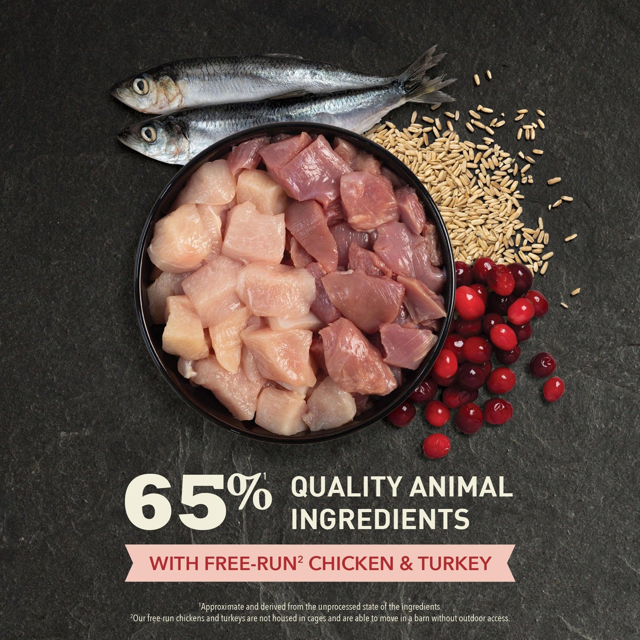 Acana Premium Cat Food Indoor Entrée - Image 4