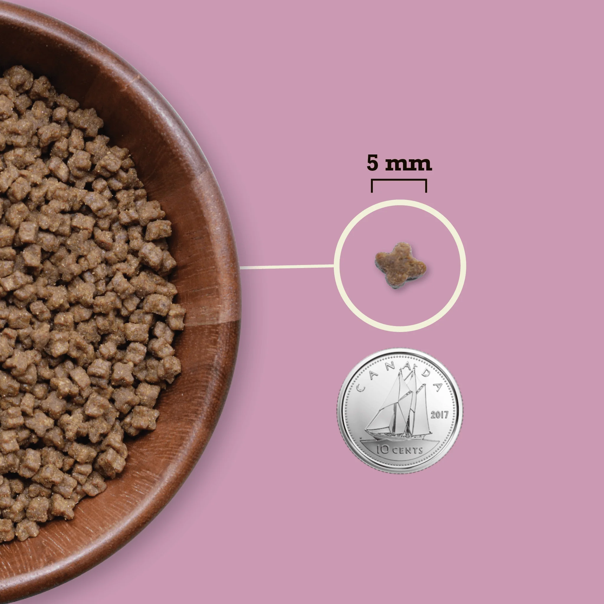 Acana Premium Kitten First Feast Recipe - Image 8