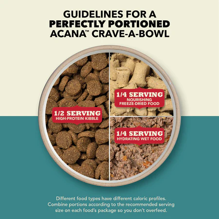 Acana Premium Pate Chicken Wet Dog Food Recipe - Image 3