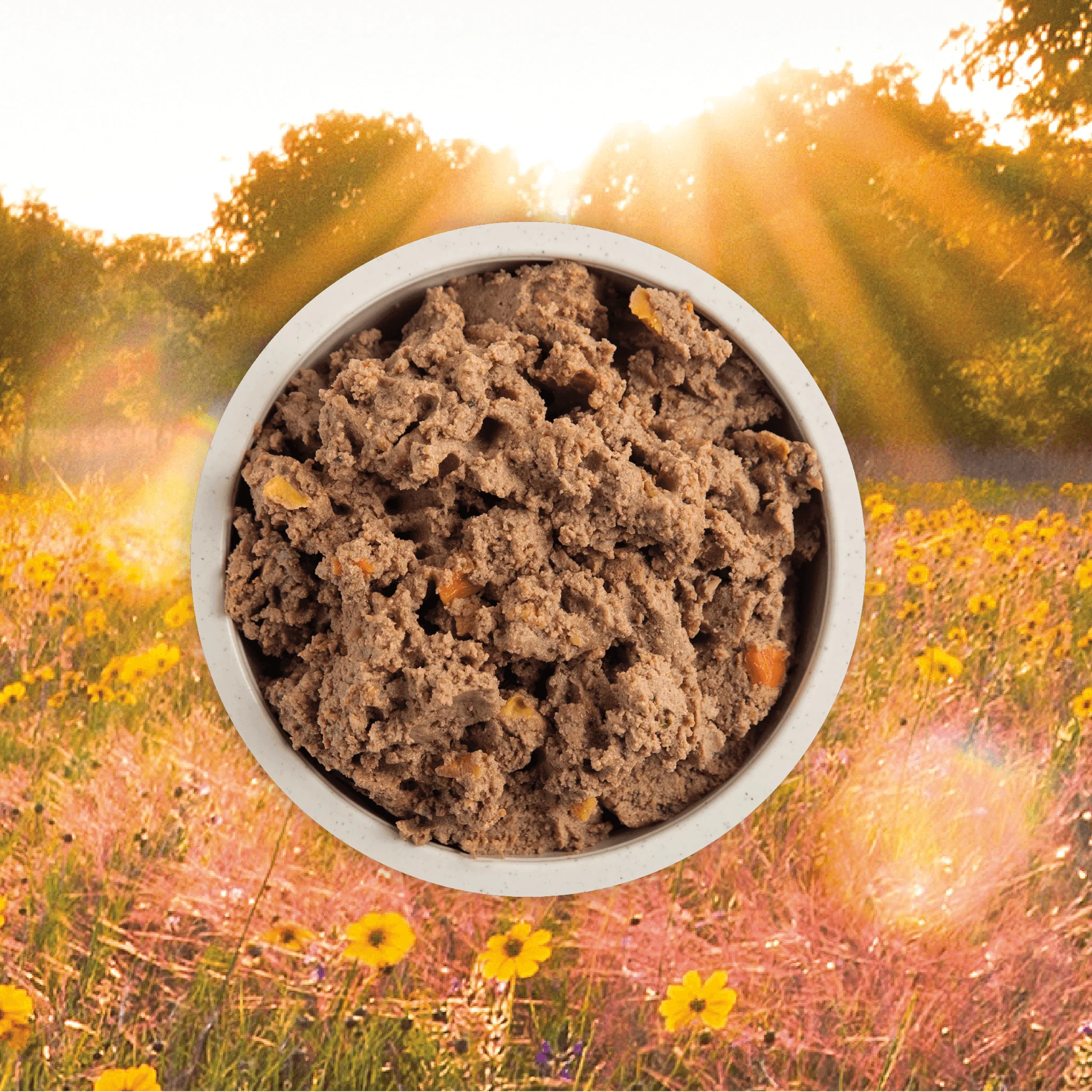 Acana Wet Dog Food Puppy Recipe In Bone Broth - Image 2