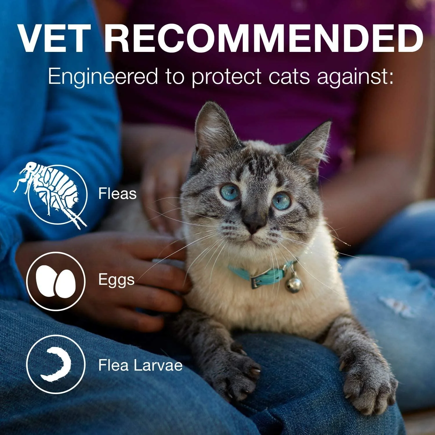 Advantage II For Kittens - Image 9