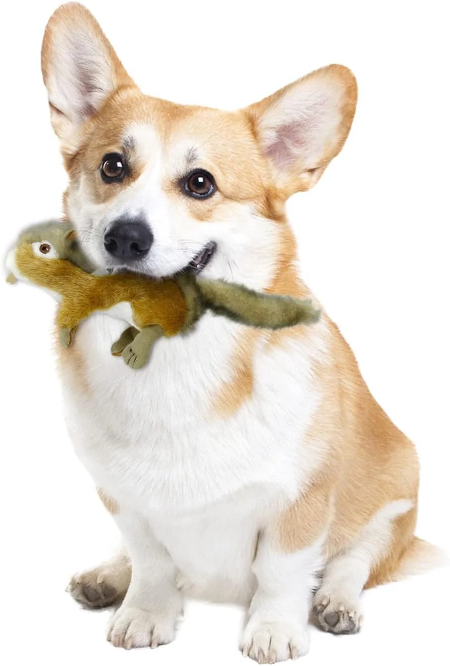All for Paws Classic Chipmunk Toy - Image 3