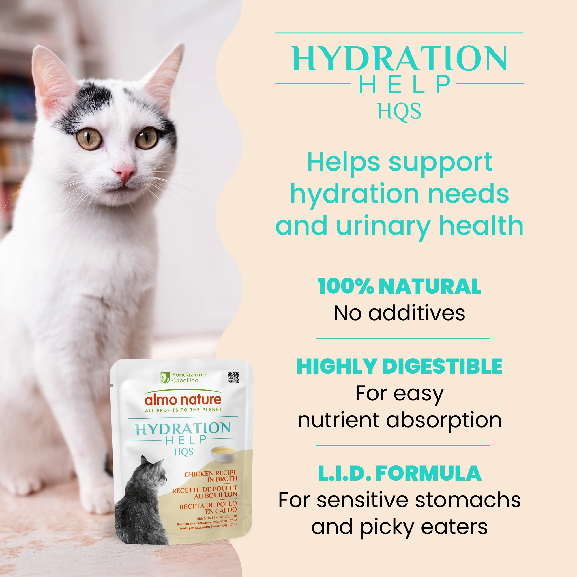Almo Nature HQS Hydration Help Chicken Recipe in Broth for Cats - Image 3