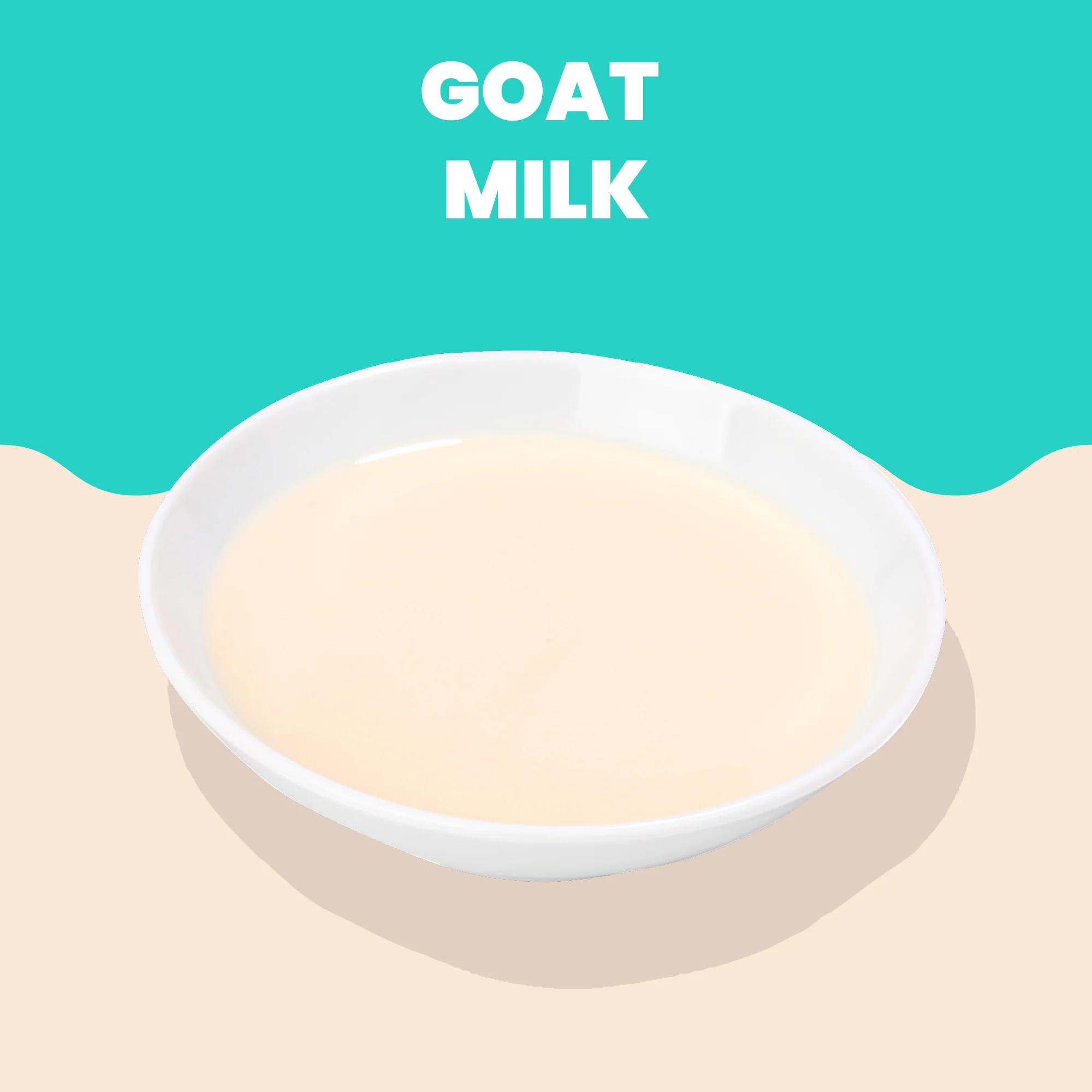 Almo Nature HQS Hydration Help Goat Milk Recipe for Cats - Image 2
