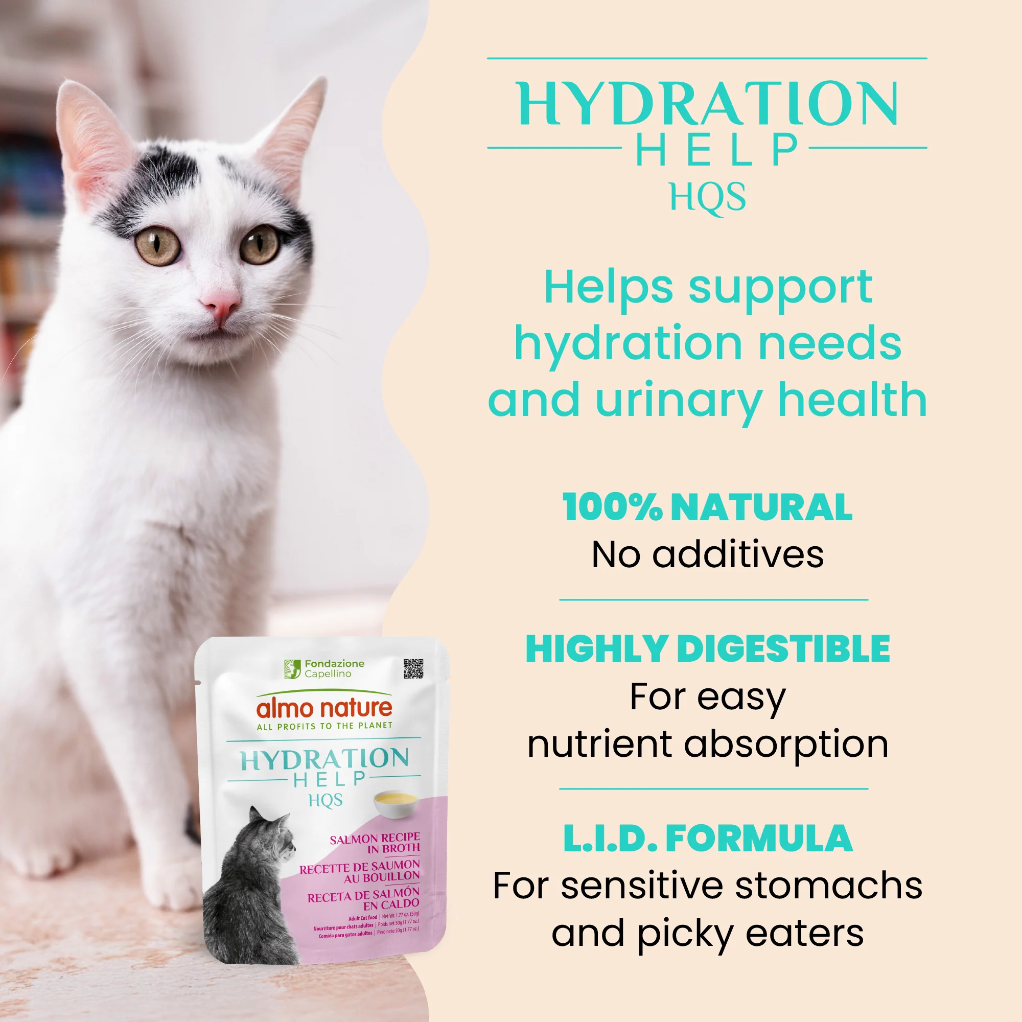Almo Nature HQS Hydration Help Salmon Recipe in Broth for Cats - Image 3