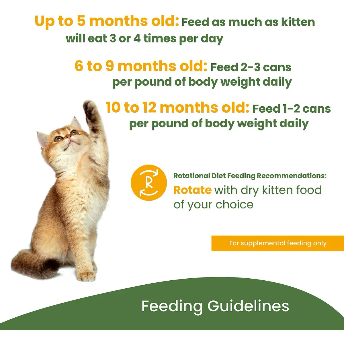 Almo Nature HQS Kitten Chicken Recipe In Broth - Image 4