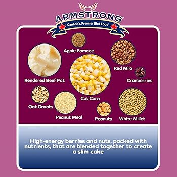 Armstrong Berry N' Nut Suet - Image 3