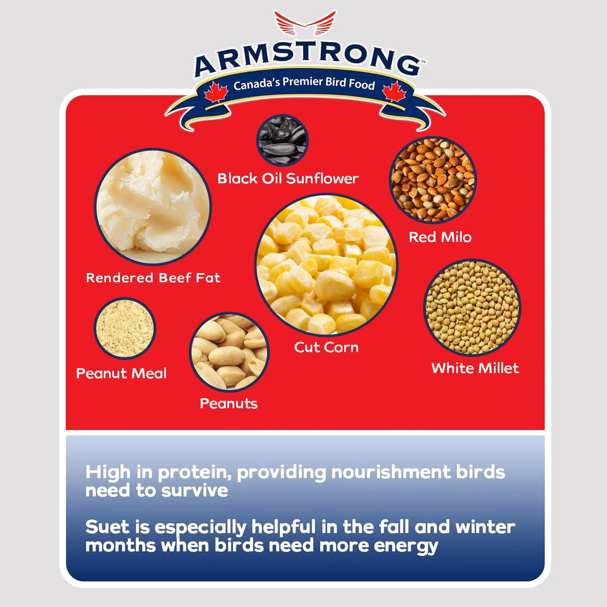 Armstrong Peanut Select Suet - Image 3