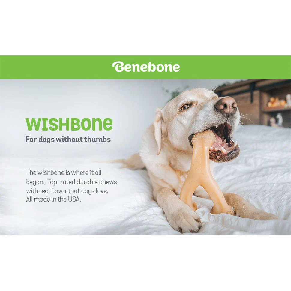 Benebone Dog Chew Wishbone Peanut Butter - Image 4