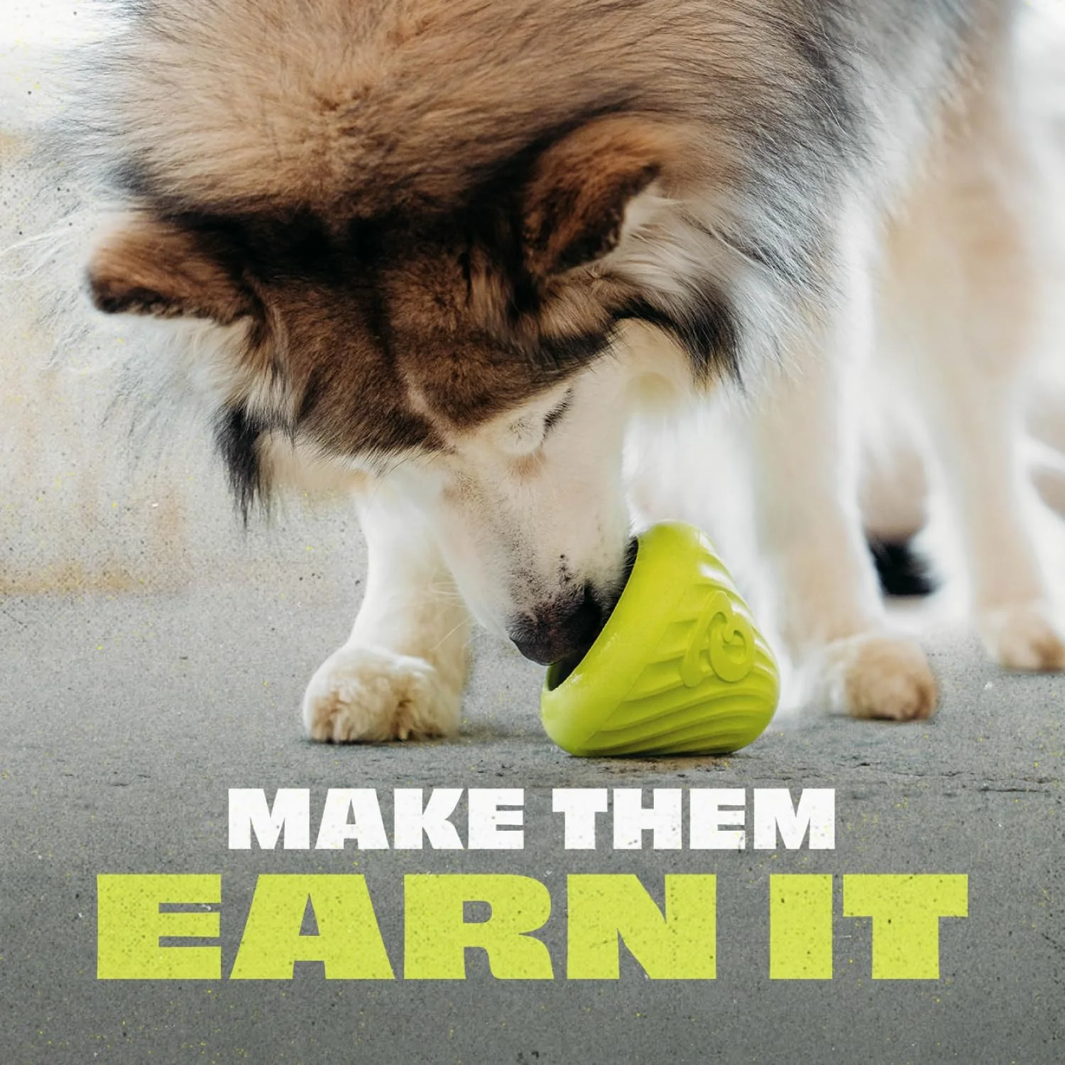 Benebone Natural Rubber Cone Dog Toys - Image 6
