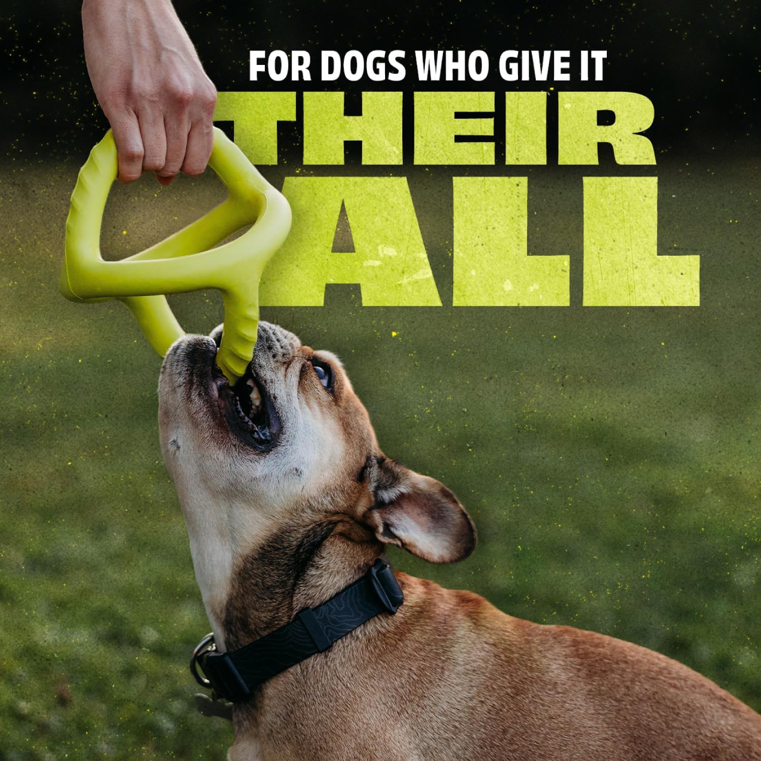 Benebone Natural Rubber Tug Dog Toy - Image 4