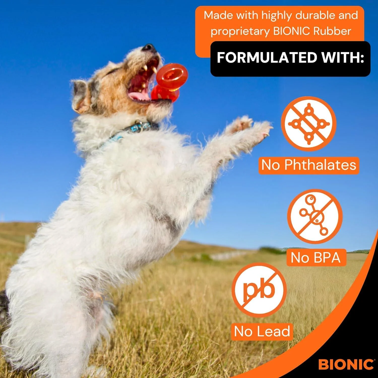 Bionic Rubber Dog Bone - Image 3