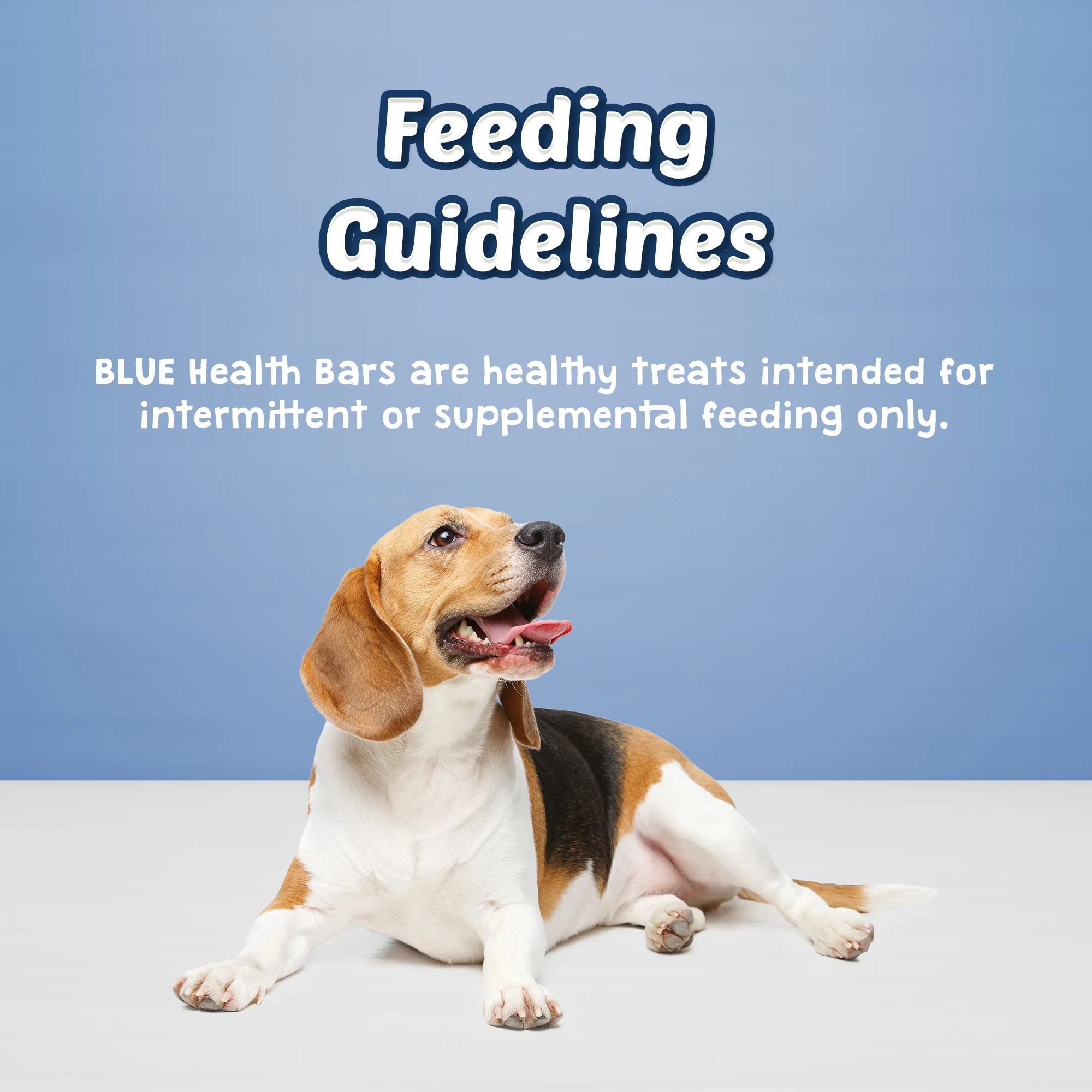 Blue Buffalo Health Bars Dog Treats Pumpkin & Cinnamon - Image 5