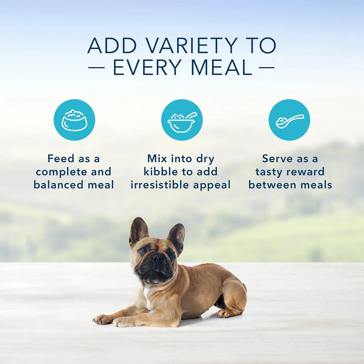 Blue Buffalo Homestyle Dog Wet Food Small Breed Chicken Dinner - Image 3