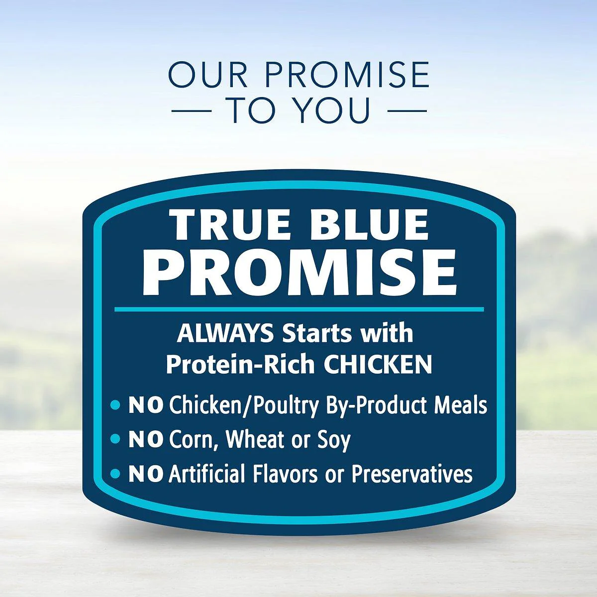 Blue Buffalo Homestyle Dog Wet Food Small Breed Chicken Dinner - Image 5