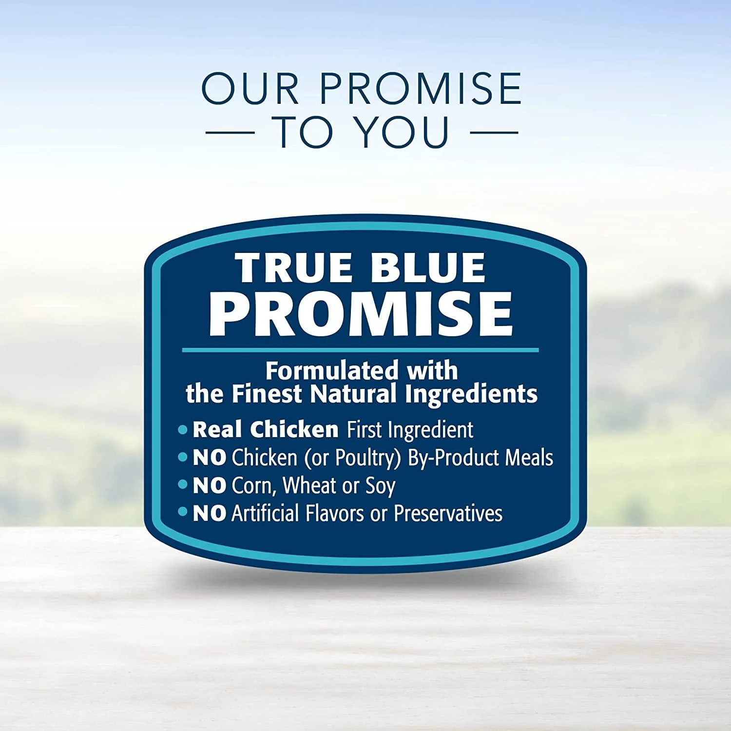 Blue Buffalo Life Protection Dog Food Chicken & Brown Rice - Image 13