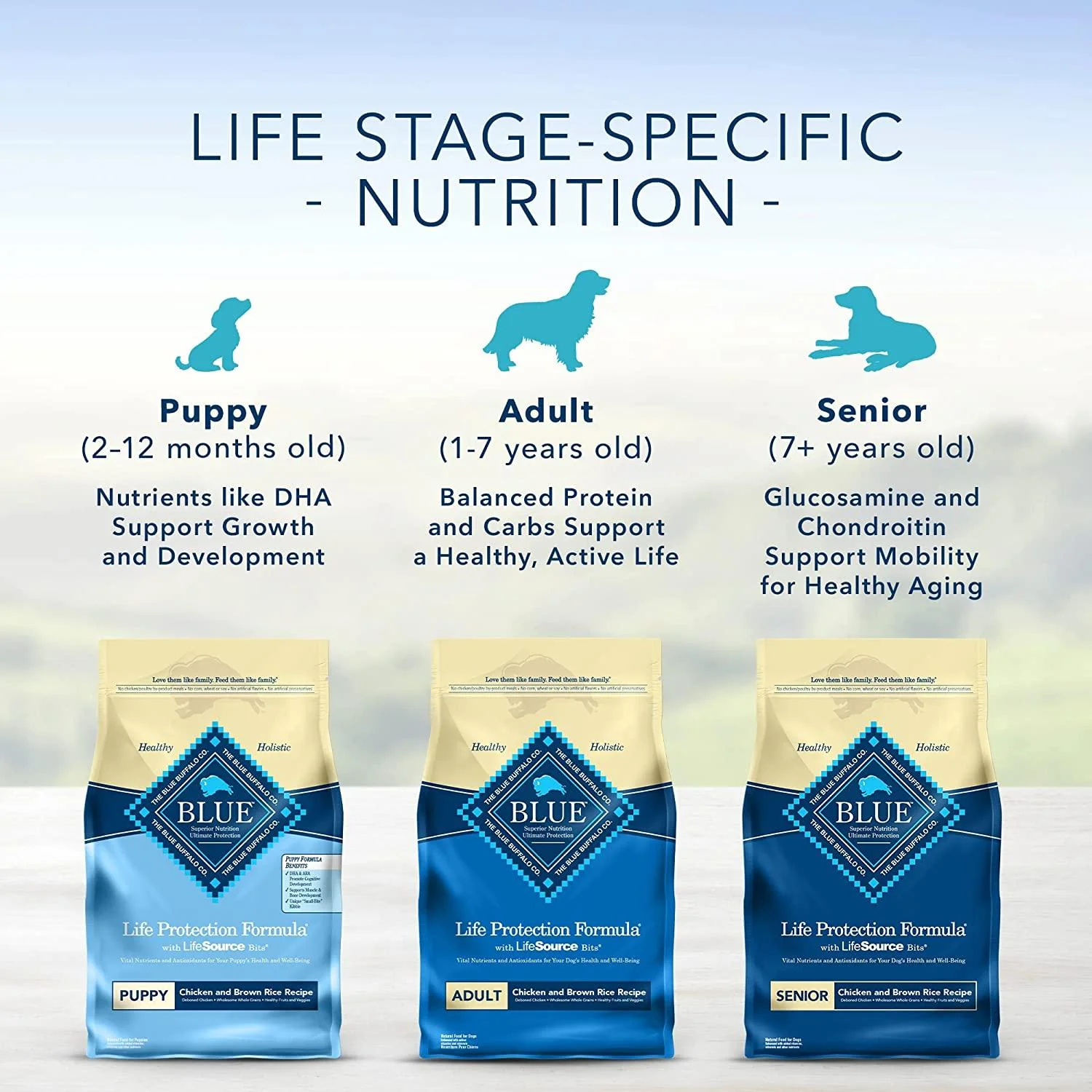 Blue Buffalo Life Protection Dog Food Chicken & Brown Rice - Image 14