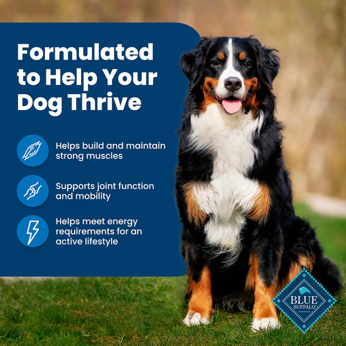 Blue Buffalo Life Protection Dog Food Chicken & Brown Rice - Image 4
