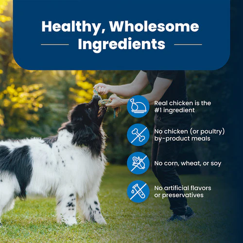 Blue Buffalo Life Protection Dog Food Chicken & Brown Rice - Image 5
