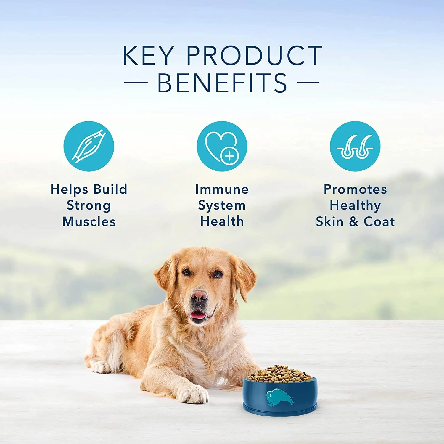 Blue Buffalo Life Protection Dog Food Lamb & Brown Rice - Image 11