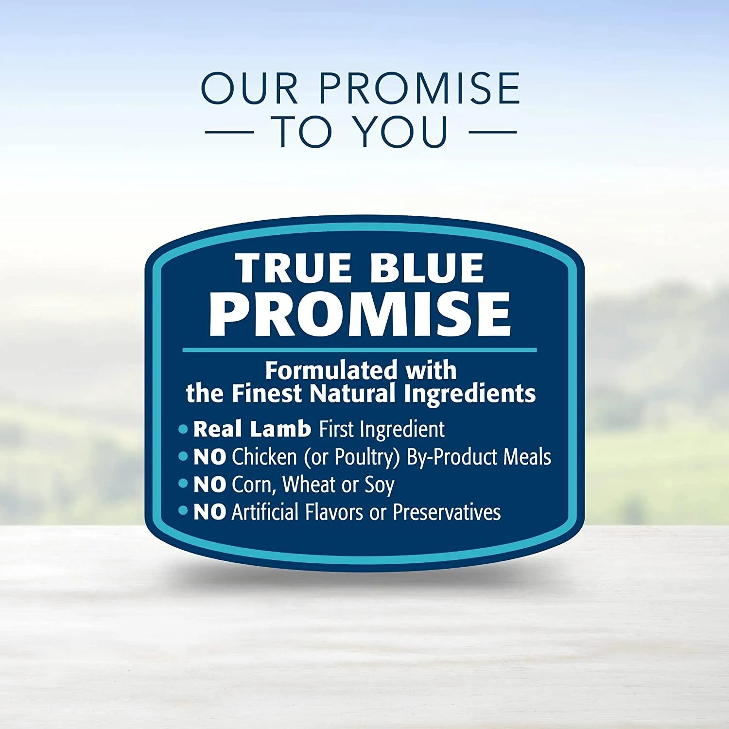 Blue Buffalo Life Protection Dog Food Lamb & Brown Rice - Image 13
