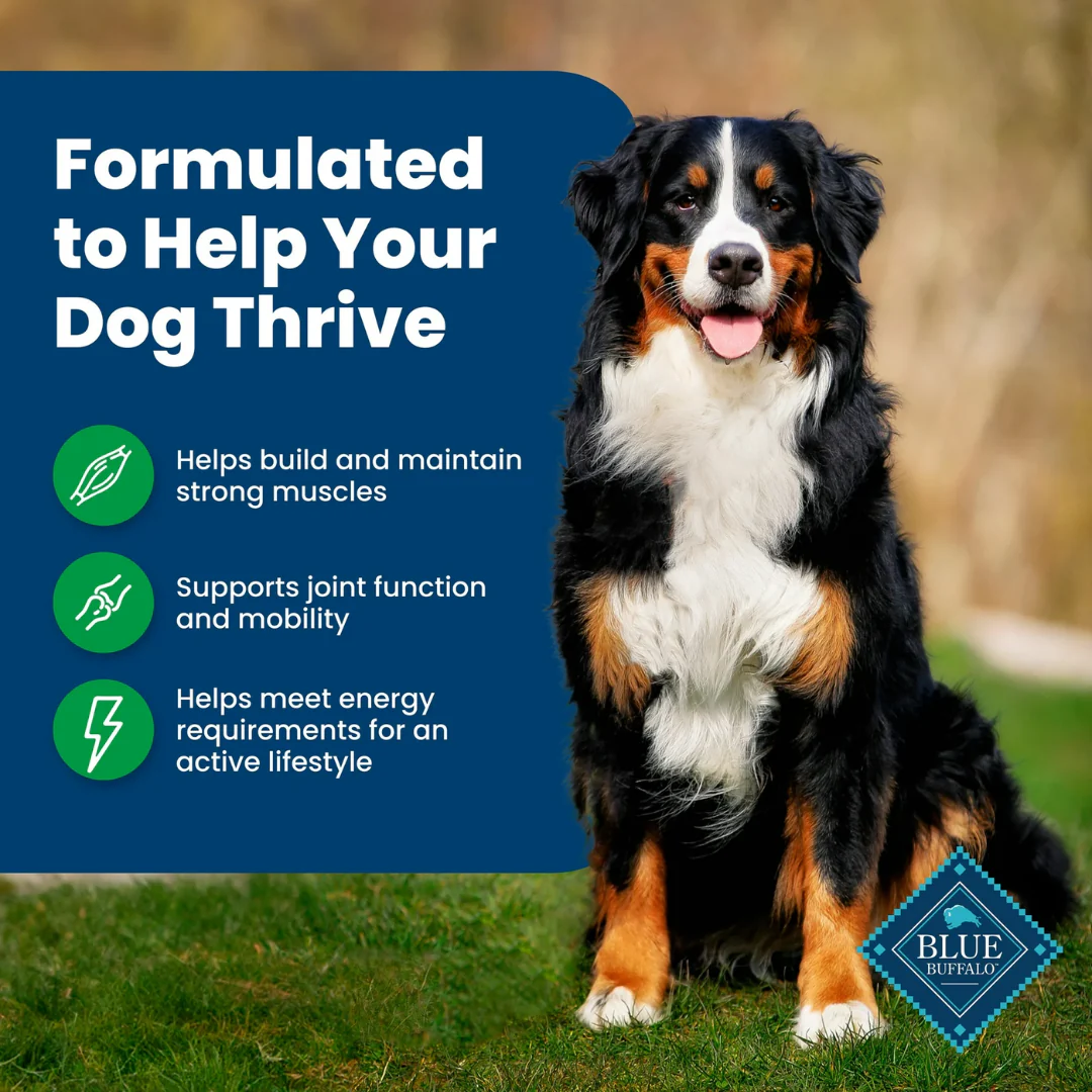 Blue Buffalo Life Protection Dog Food Lamb & Brown Rice - Image 3