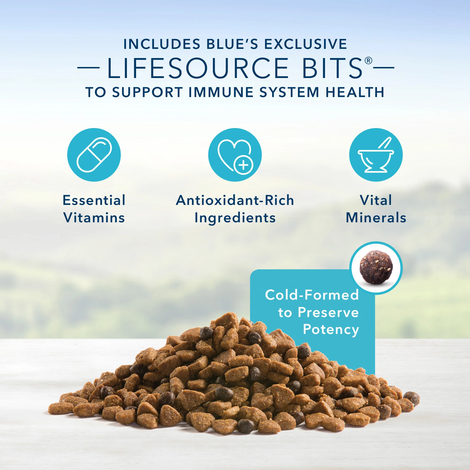 Blue Buffalo Life Protection Dog Food Small Breed Chicken & Brown Rice - Image 4