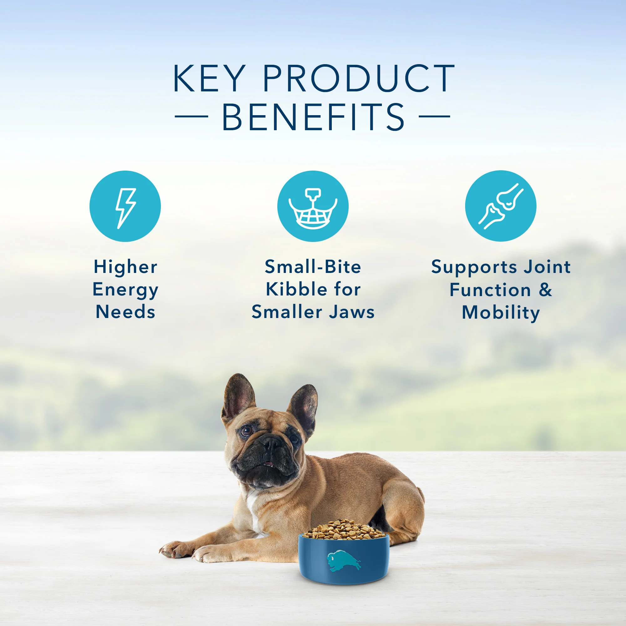 Blue Buffalo Life Protection Dog Food Small Breed Chicken & Brown Rice - Image 5