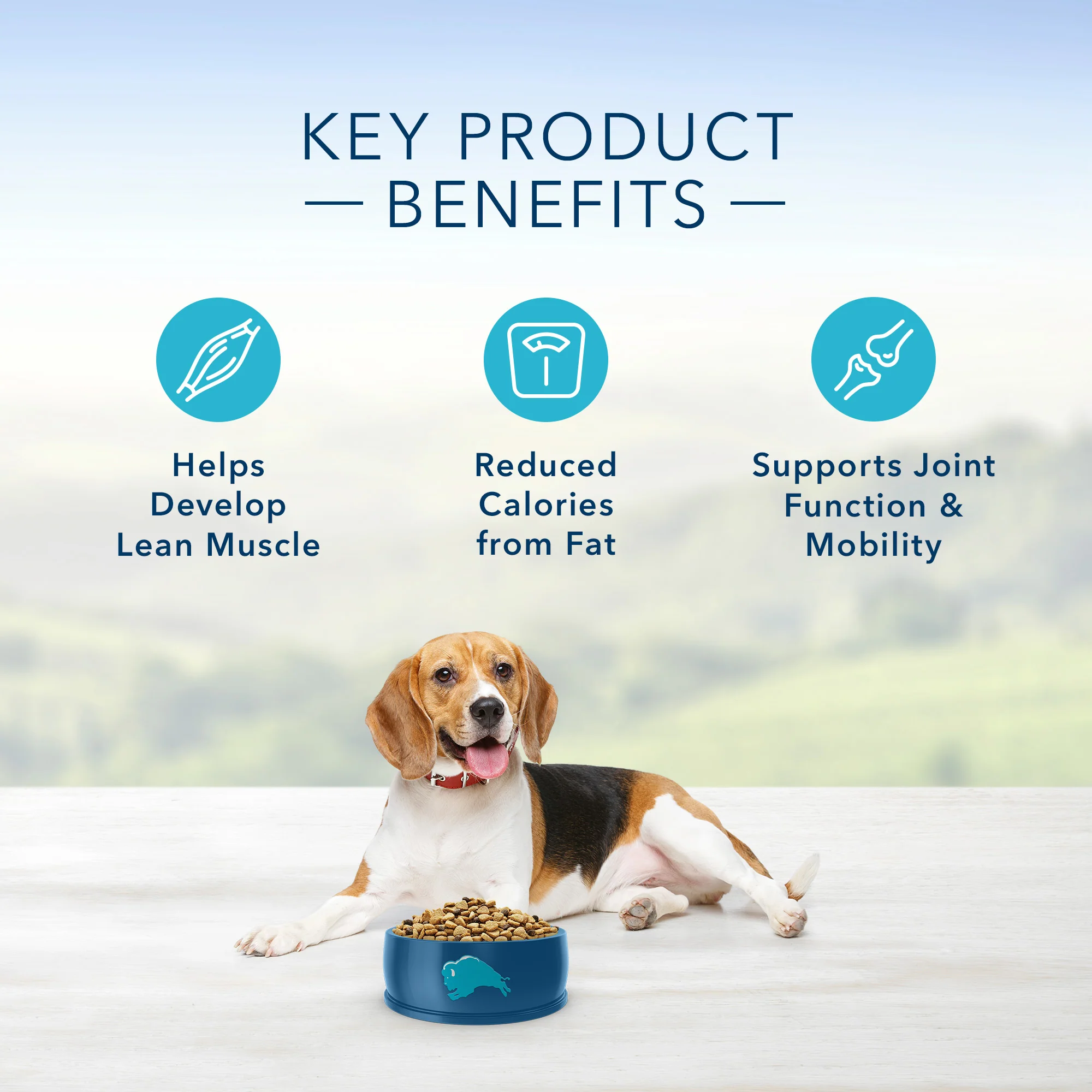 Blue Buffalo Life Protection Dog Food Healthy Weight Chicken & Brown Rice - Image 5