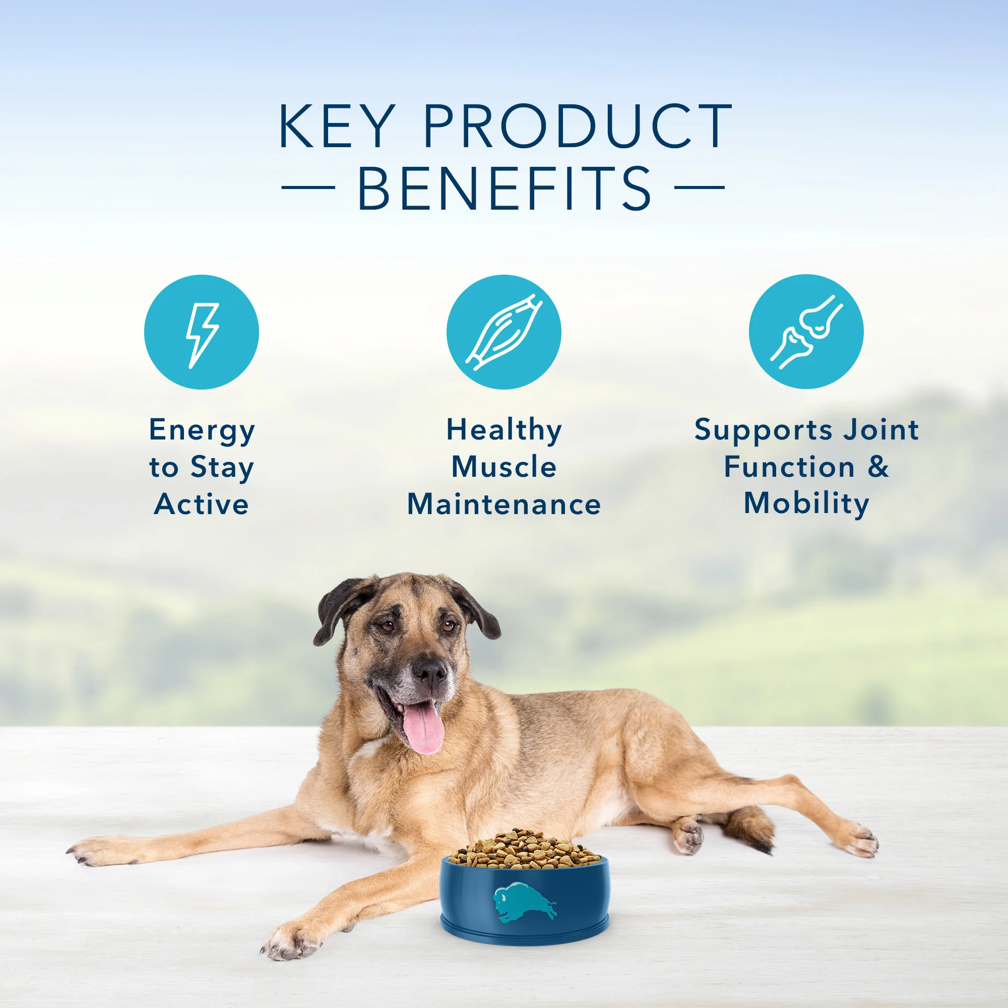 Blue Buffalo Life Protection Dog Food Chicken & Brown Rice Senior - Image 5