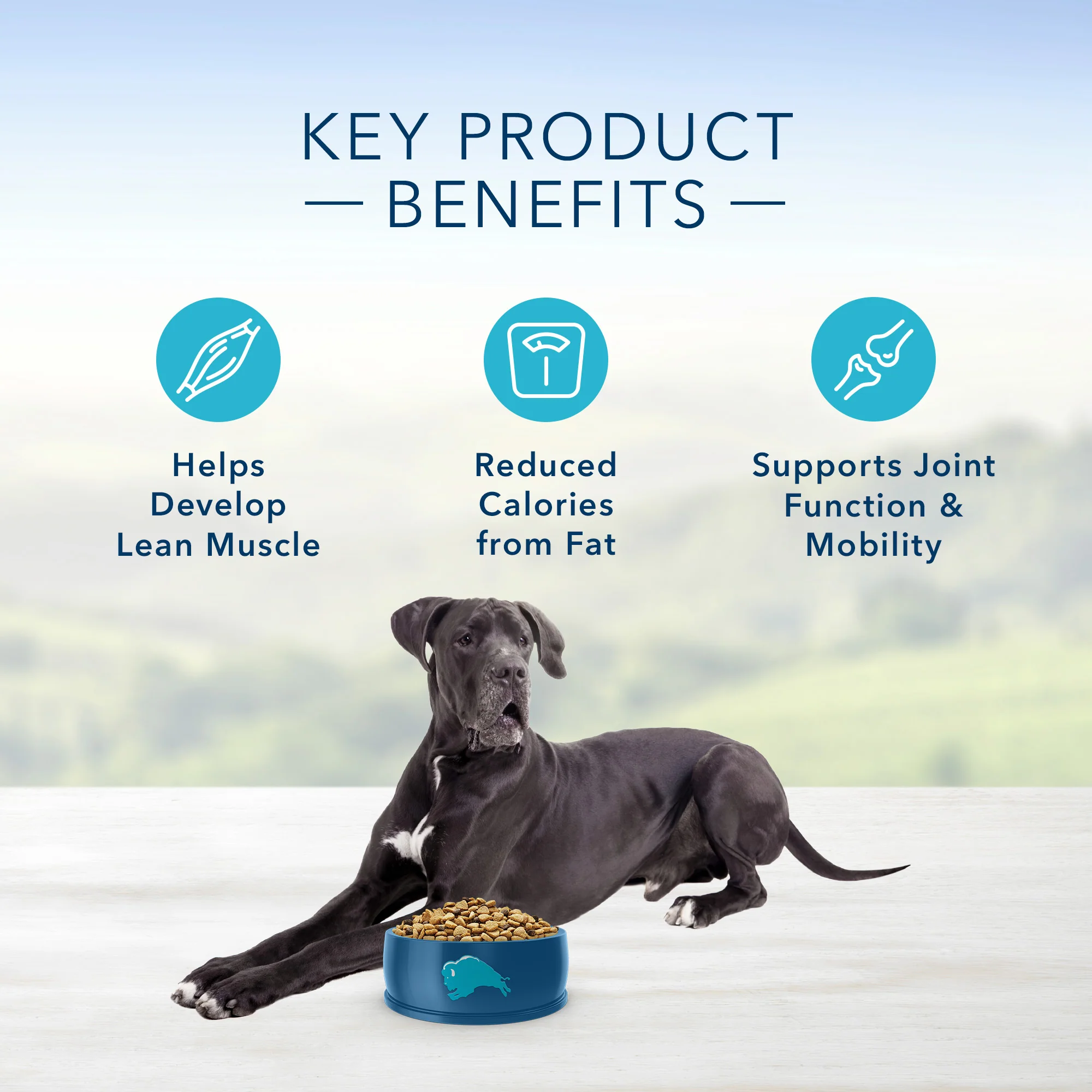 Blue Buffalo Life Protection Dog Food Large Breed Weight Control Chicken & - Image 5