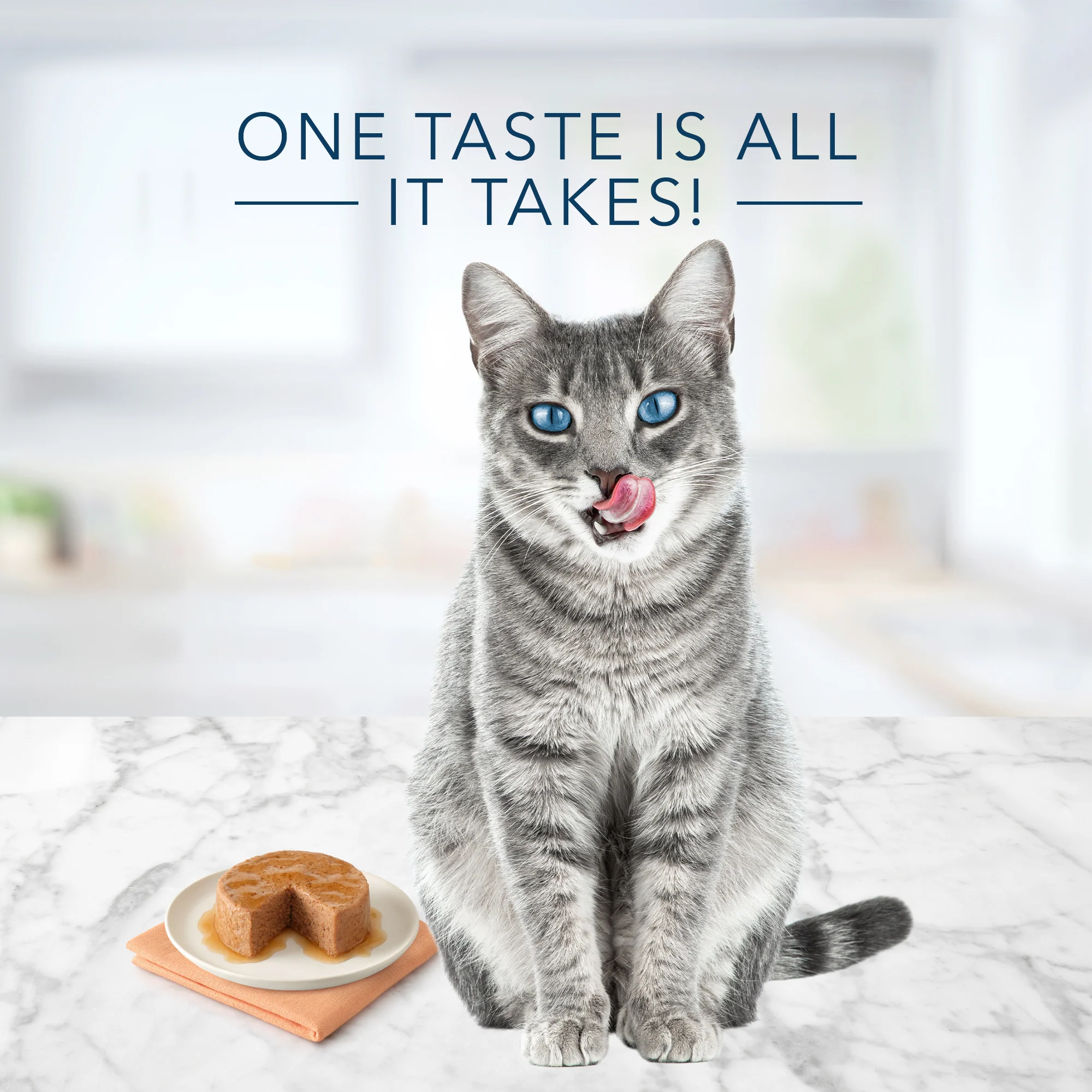 Blue Buffalo Tastefuls Cat Wet Food Chicken - Image 2