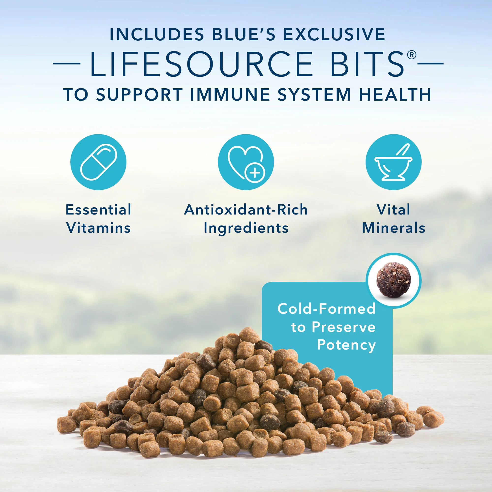 Blue Buffalo Life Protection Cat Food Indoor Chicken & Brown Rice - Image 3