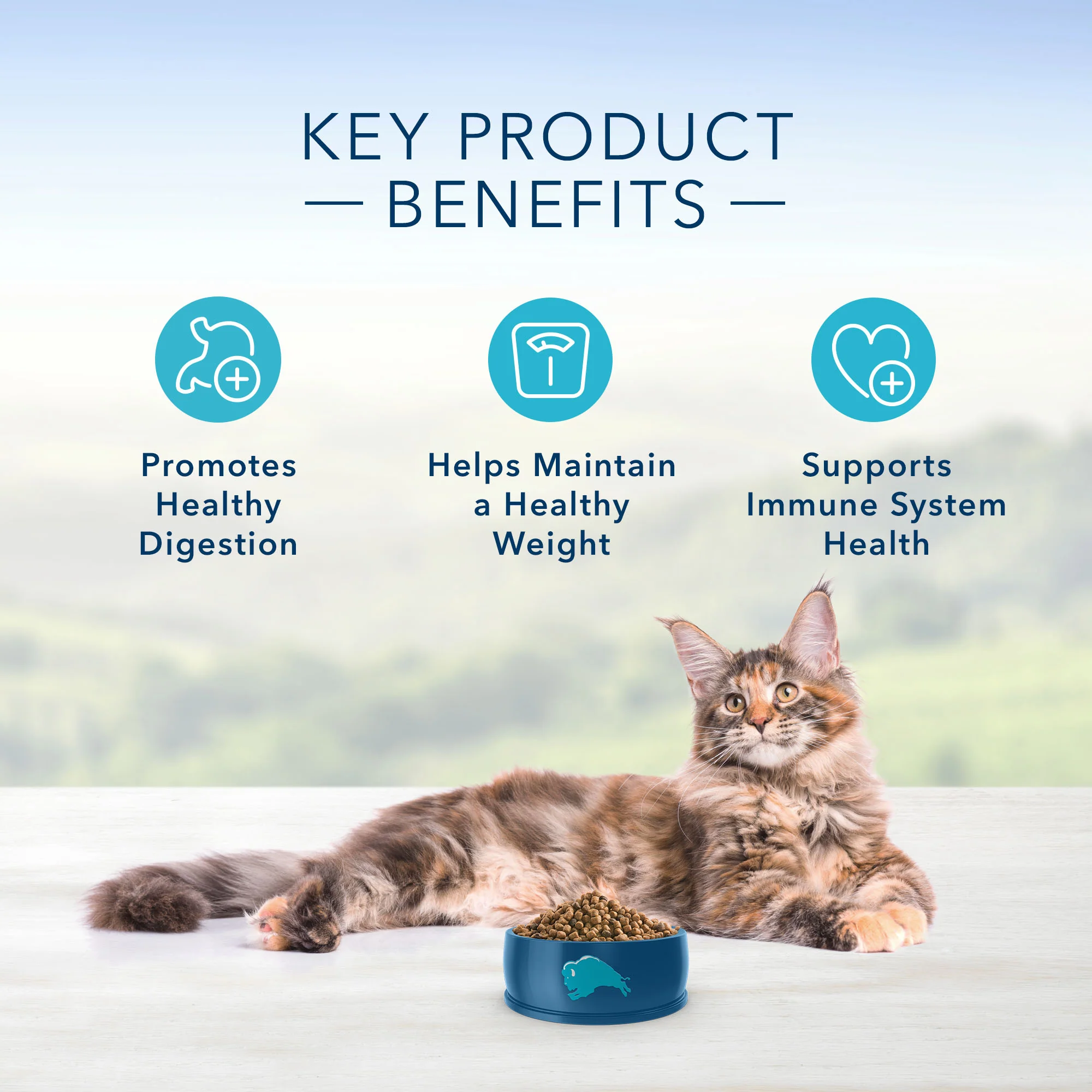 Blue Buffalo Life Protection Cat Food Indoor Chicken & Brown Rice - Image 4