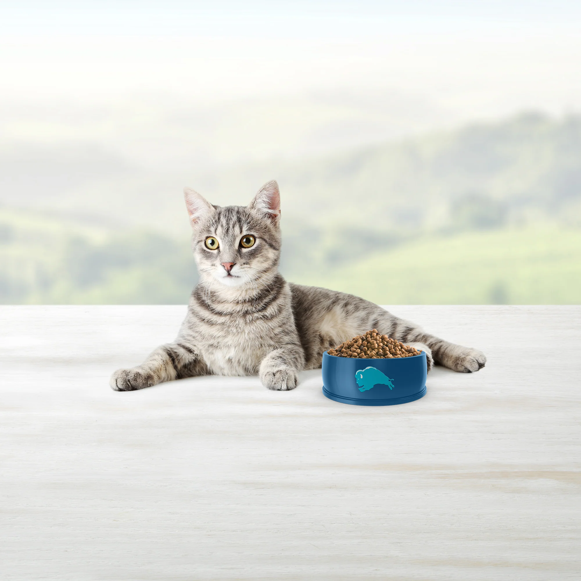 Blue Buffalo Life Protection Cat Food Indoor Chicken & Brown Rice - Image 6