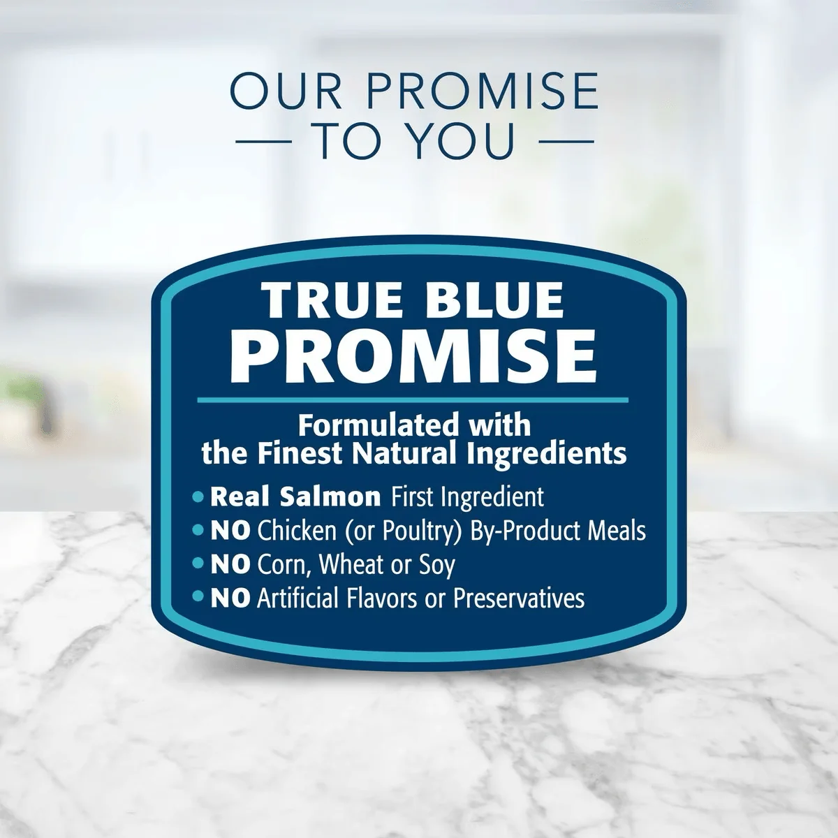 Blue Buffalo Life Protection Cat Food Indoor Salmon & Brown Rice - Image 13
