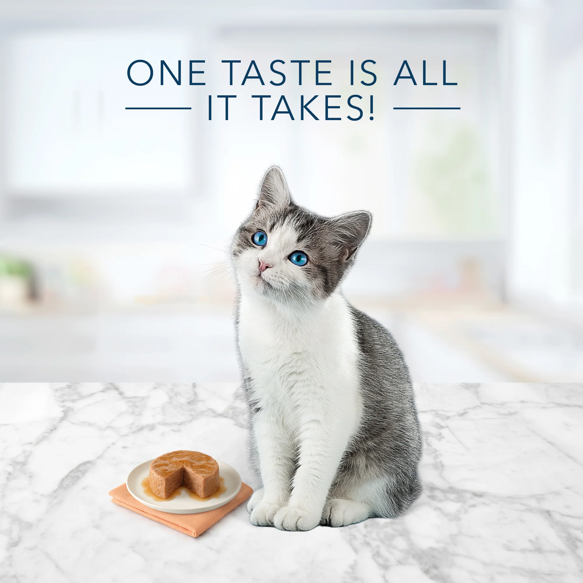 Blue Buffalo Tastefuls Cat Wet Food Chicken Kitten - Image 2