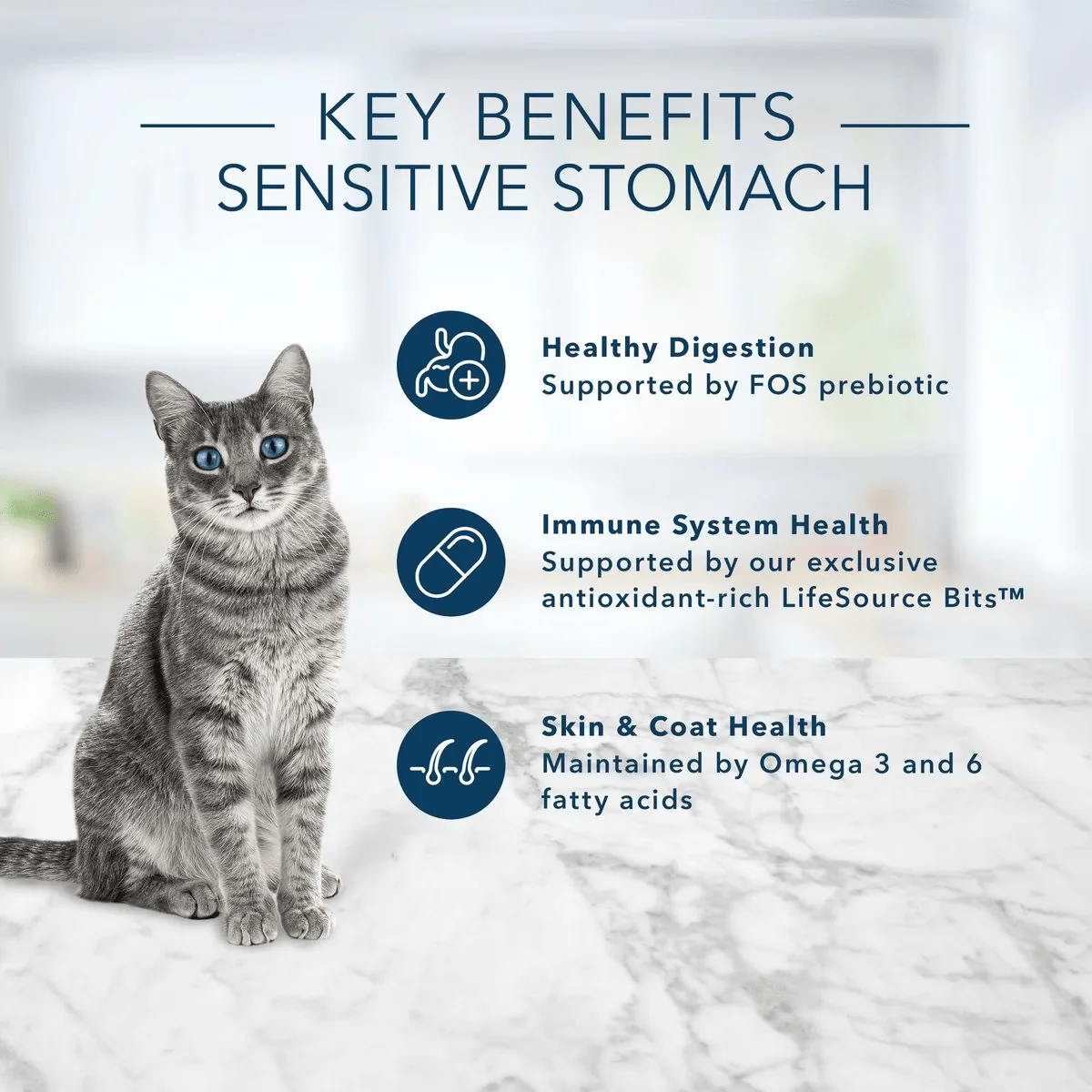 Blue Buffalo Life Protection Cat Food Sensitive Stomach Chicken & Brown Rice - Image 11