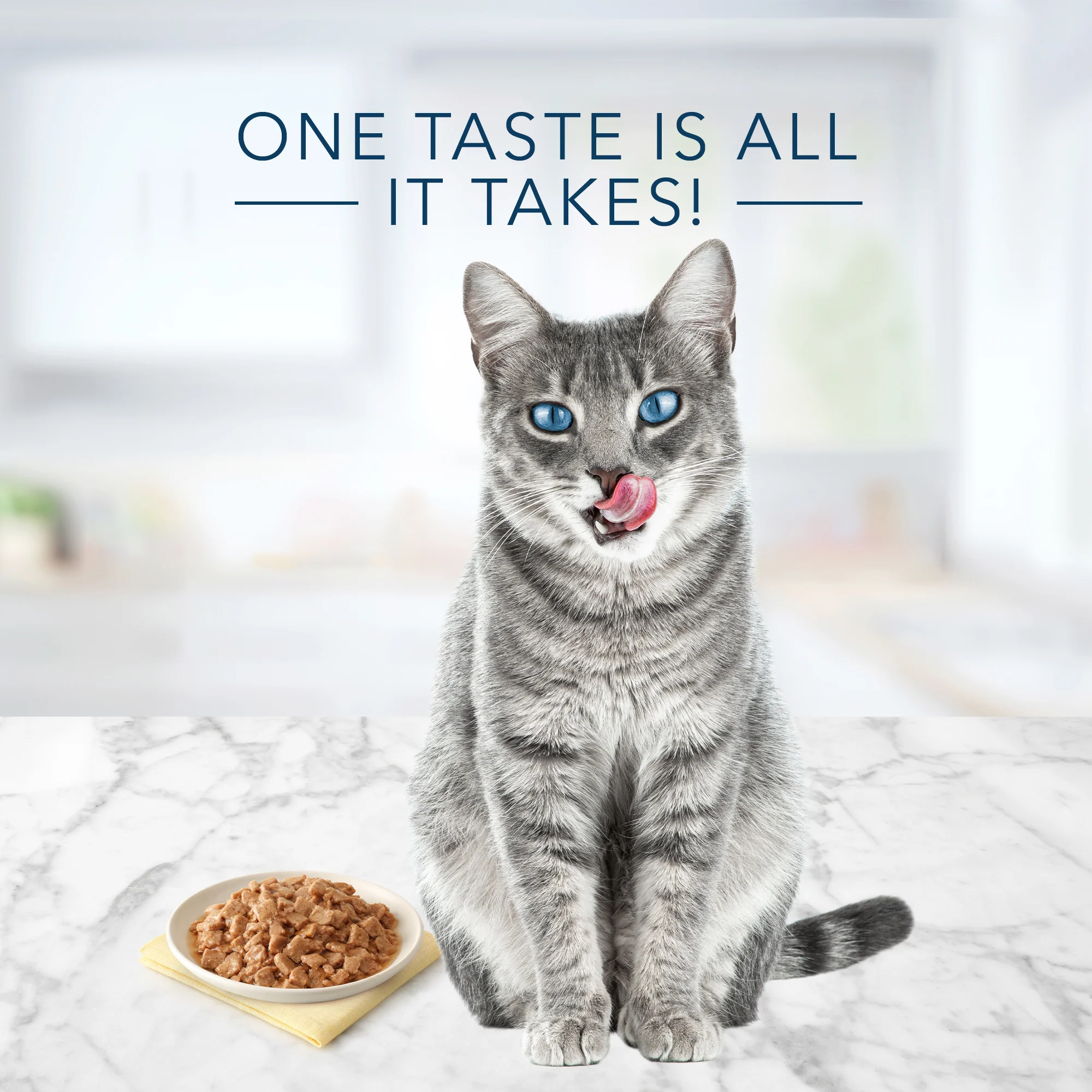 Blue Buffalo Tastefuls Cat Wet Food Tuna - Image 2