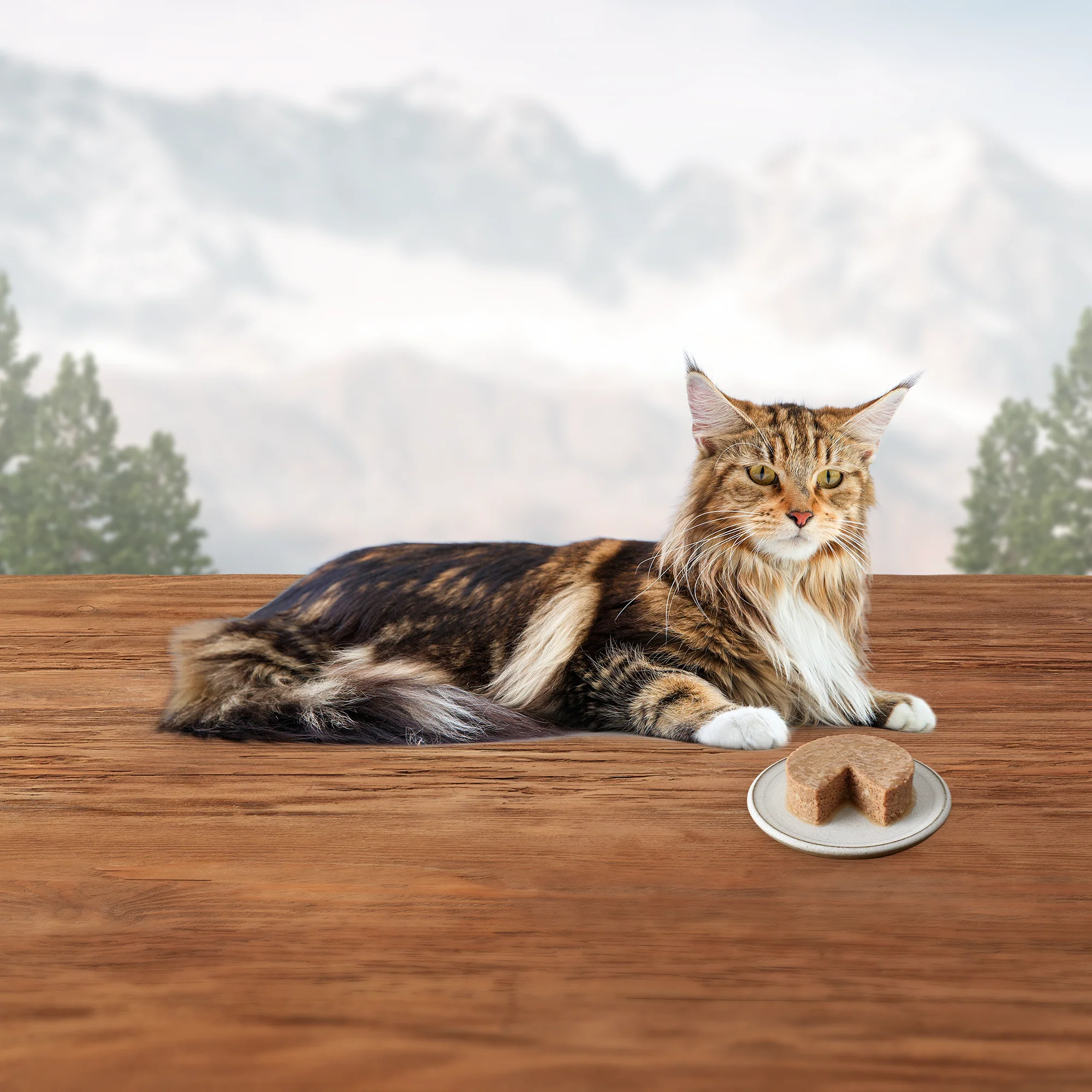 Blue Buffalo Wilderness Cat Wet Food Chicken - Image 6