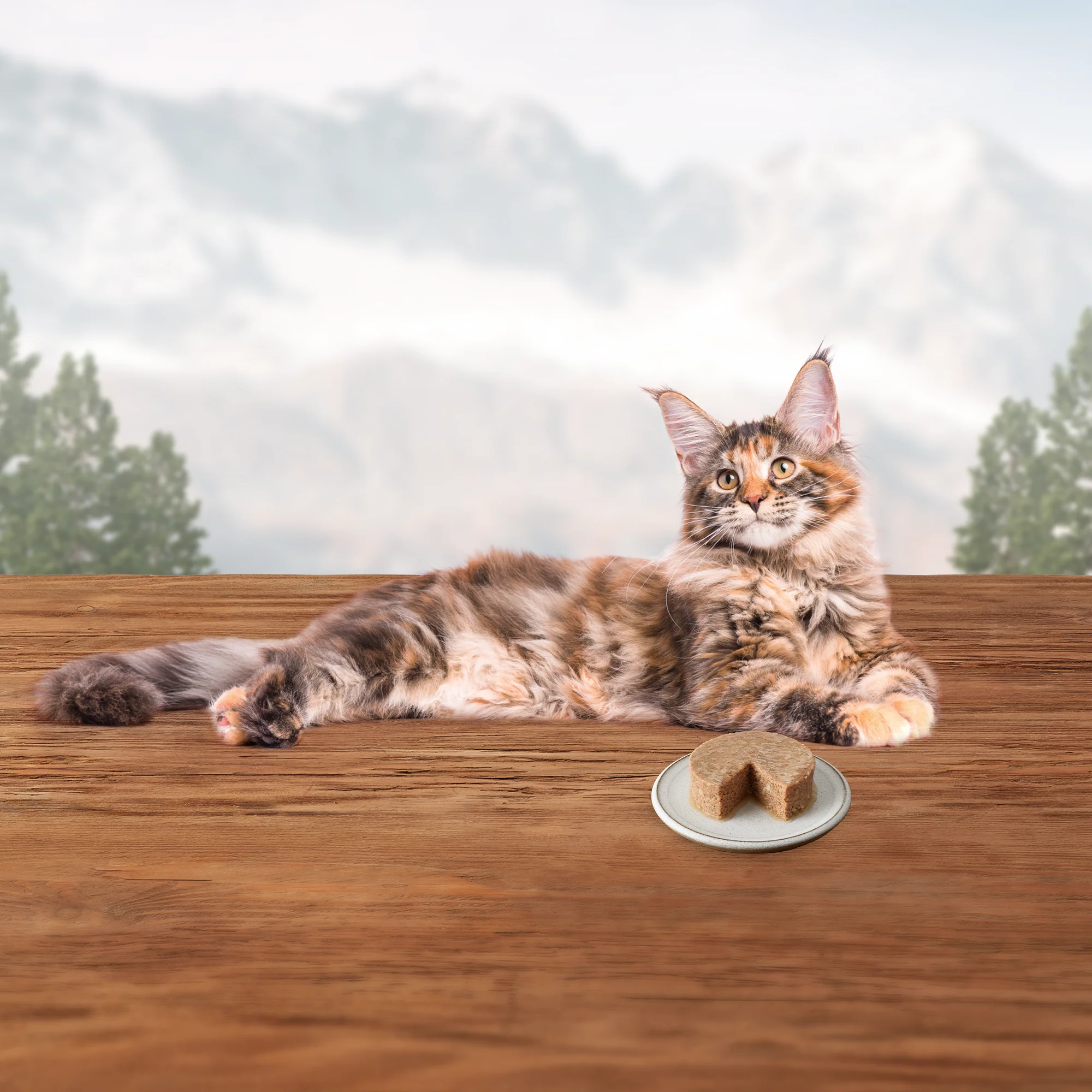 Blue Buffalo Wilderness Cat Wet Food Turkey - Image 6
