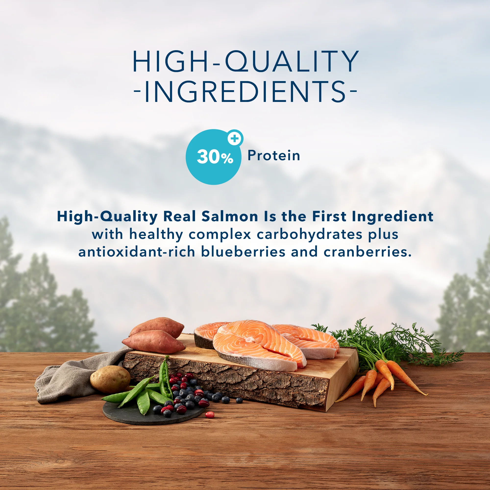 Blue Buffalo Wilderness Cat Food Salmon - Image 3