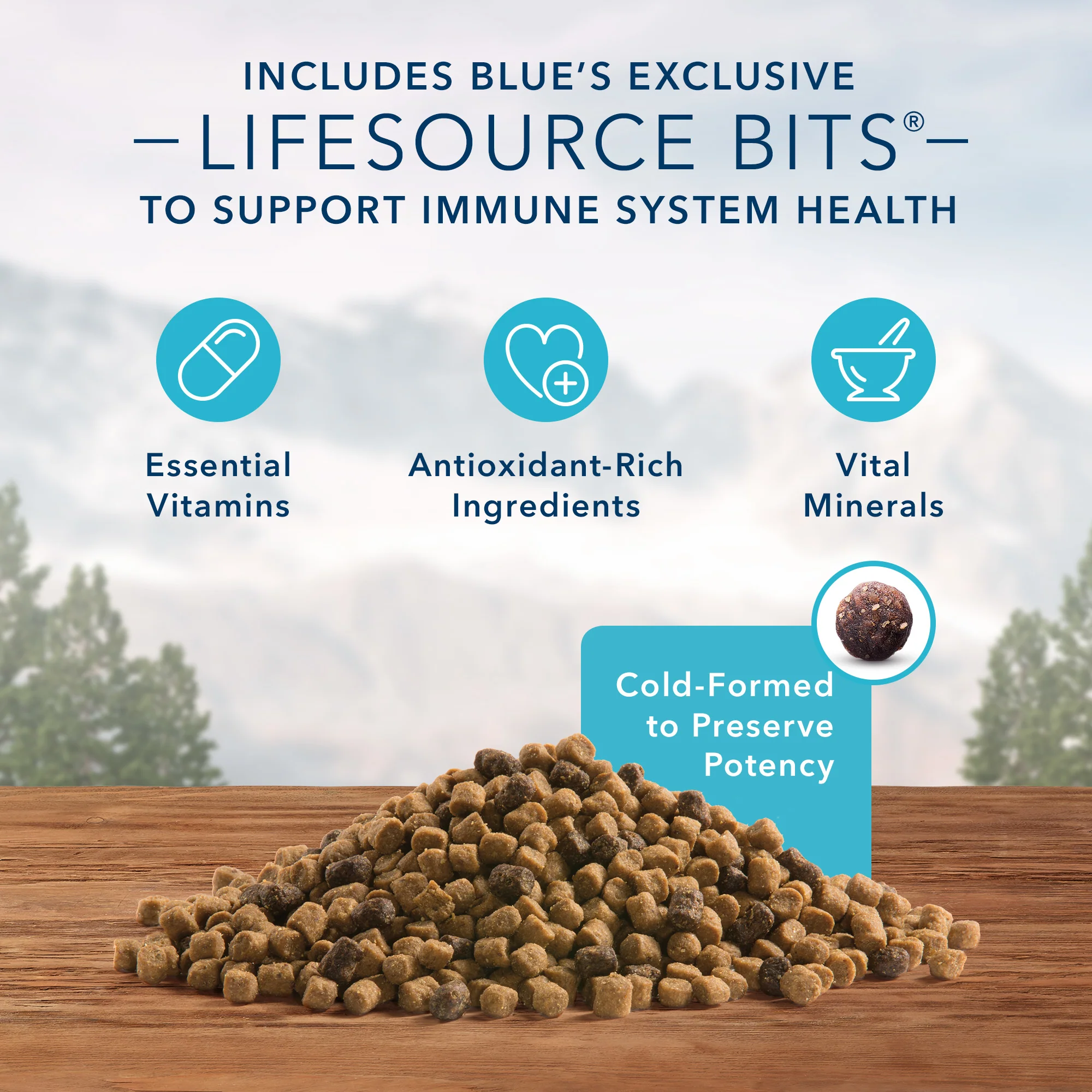 Blue Buffalo Wilderness Cat Food Salmon - Image 4