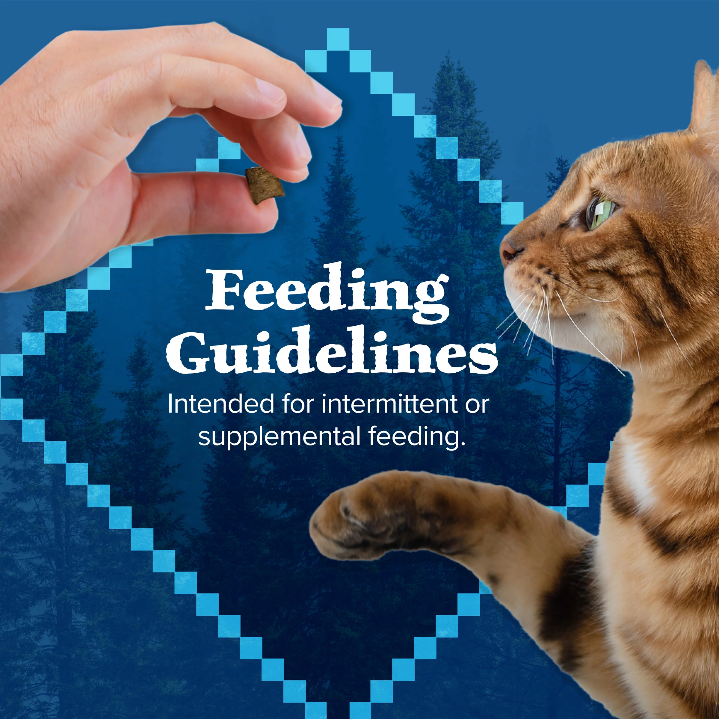 Blue Buffalo Wilderness Cat Treats Chicken & Trout - Image 5